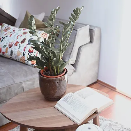 Bohemian Symphony Apartment *
